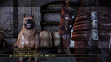 画像ギャラリー No.022のサムネイル画像 / 「Dragon Age: Origins」の最新情報が到着。背景設定やゲームシステムなどを頭に叩き込んで発売に備えよう