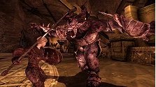 画像ギャラリー No.017のサムネイル画像 / 発売迫る「Dragon Age: Origins」最新情報。今回はバトルの詳細や新モンスター，キャラクターが2種類まで習得可能な“サブクラス”を紹介