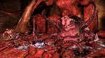 画像ギャラリー No.019のサムネイル画像 / 発売迫る「Dragon Age: Origins」最新情報。今回はバトルの詳細や新モンスター，キャラクターが2種類まで習得可能な“サブクラス”を紹介