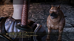 画像ギャラリー No.026のサムネイル画像 / 緻密な世界設定と無数の選択肢が生む，圧倒的な没入感。傑作RPG「Dragon Age: Origins」のレビューを掲載