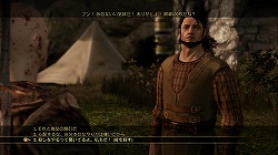 画像ギャラリー No.036のサムネイル画像 / 緻密な世界設定と無数の選択肢が生む，圧倒的な没入感。傑作RPG「Dragon Age: Origins」のレビューを掲載