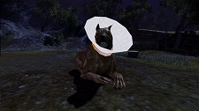 画像ギャラリー No.007のサムネイル画像 / 「Dragon Age: Origins」の3種のDLC＆延期されていたXbox 360用パッケージ版「Dragon Age: Origins - Awakening」が4月7日発売