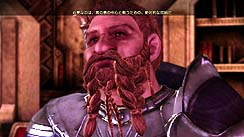 画像ギャラリー No.056のサムネイル画像 / 本日発売「Dragon Age: Origins」の情報公開第5弾を掲載。今回はさらなるパーティメンバーと，同梱される6種類のDLCについて