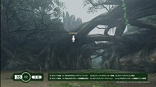 画像ギャラリー No.011のサムネイル画像 / 「アドホック・パーティー」にデザインやBGMなどが特別仕様の「モンハン3rd」特設ワールドが本日登場＆12月16日からはPlayStation Homeでプーギーを連れて歩けるように