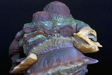 画像ギャラリー No.017のサムネイル画像 / 「モンスターハンターポータブル 3rd」，図鑑風冊子とフィギュアがセットになった「モンスター生態図鑑」発売。第1弾はジンオウガとティガレックス亜種