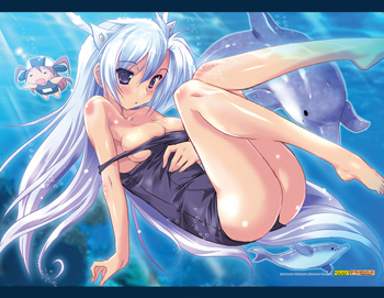 画像ギャラリー No.001のサムネイル画像 / カルのタペストリーなど。工画堂スタジオのコミケ78出展情報第1弾