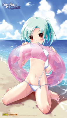 画像ギャラリー No.002のサムネイル画像 / カルのタペストリーなど。工画堂スタジオのコミケ78出展情報第1弾