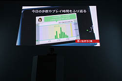 画像ギャラリー No.058のサムネイル画像 / 任天堂の今後の展開と,ニンテンドー3DSの各種機能・タイトルが紹介された「任天堂カンファレンス2010」レポート(前編)
