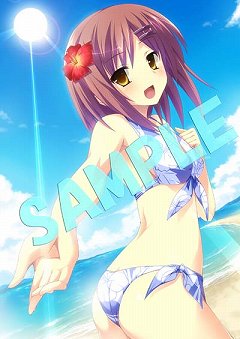 画像ギャラリー No.002のサムネイル画像 / 「花と乙女に祝福を〜春風の贈り物〜」各店舗特典のイラストが公開。ヒロイン達の水着姿を見ておこう