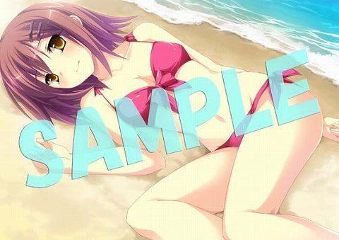 画像ギャラリー No.005のサムネイル画像 / 「花と乙女に祝福を〜春風の贈り物〜」各店舗特典のイラストが公開。ヒロイン達の水着姿を見ておこう