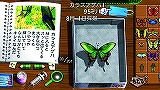 ぼくのなつやすみポータブル2 ナゾナゾ姉妹と沈没船の秘密!