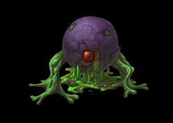 画像ギャラリー No.016のサムネイル画像 / NDS用Wizardryシリーズ最新作「Wizardry 〜忘却の遺産〜」がAmazon専売で7月29日に発売。前作からの要望を盛り込みさらに快適なプレイが可能に