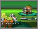 ポケットモンスターホワイト