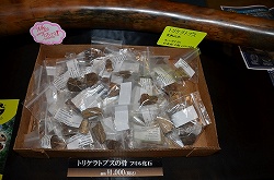 画像ギャラリー No.014のサムネイル画像 / フィギュアだけじゃない。びっくり仰天の出物もあった「ワンダーフェスティバル2011［夏］」レポート
