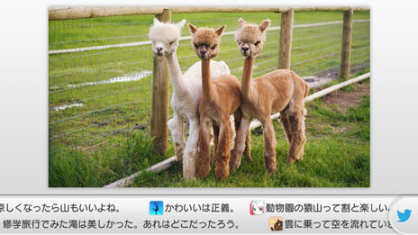画像ギャラリー No.002のサムネイル画像 / 「torne」のアップデート“バージョン4.2”が本日配信。録画した番組を探す「ビデオ検索機能」が追加されたほか，「レコ×トルネ」の機能がパワーアップ