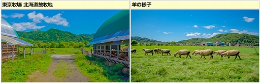 画像ギャラリー No.026のサムネイル画像 / 「キャラフレ」,「修学旅行イベント」の全マップが開放中