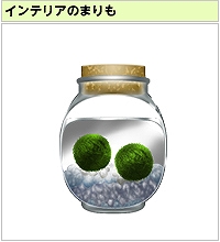 画像ギャラリー No.033のサムネイル画像 / 「キャラフレ」,「修学旅行イベント」の全マップが開放中