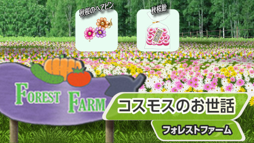 画像ギャラリー No.002のサムネイル画像 / 「キャラフレ」,“体育祭”イベントを10月8日から開催。18種目のミニゲームが登場