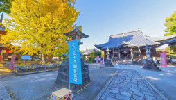 画像ギャラリー No.001のサムネイル画像 / 「キャラフレ」,イベント“足利・鑁阿寺”校外学習を実施。荘厳な大銀杏を見学できる