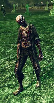 画像ギャラリー No.014のサムネイル画像 / 「RaiderZ」ゲーム内の雰囲気が分かるスクリーンショットやコンセプトアートが公開に