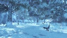 画像ギャラリー No.012のサムネイル画像 / 「RaiderZ」ダウンやのけぞりなどの各アクションと，フィールドマップの様子をプロモーションムービーで確認