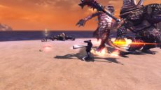 画像ギャラリー No.023のサムネイル画像 / 「RaiderZ」ほかのクラスのスキルも使えるようになる「フリースタイル」や，敵の体を破壊し利用する「ブレイカブルシステム」などを紹介