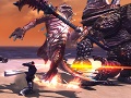 「RaiderZ」ほかのクラスのスキルも使えるようになる「フリースタイル」や，敵の体を破壊し利用する「ブレイカブルシステム」などを紹介