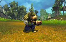 画像ギャラリー No.013のサムネイル画像 / 「RaiderZ」の対人戦システムや，時間および天候の変化，変身，楽器の演奏などのゲームシステムを紹介