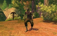 画像ギャラリー No.015のサムネイル画像 / 「RaiderZ」の対人戦システムや，時間および天候の変化，変身，楽器の演奏などのゲームシステムを紹介