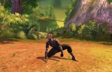画像ギャラリー No.016のサムネイル画像 / 「RaiderZ」の対人戦システムや，時間および天候の変化，変身，楽器の演奏などのゲームシステムを紹介