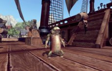 画像ギャラリー No.017のサムネイル画像 / 「RaiderZ」の対人戦システムや，時間および天候の変化，変身，楽器の演奏などのゲームシステムを紹介