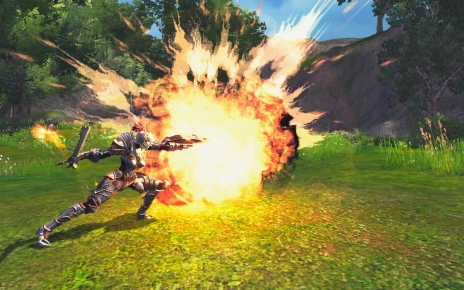 画像ギャラリー No.016のサムネイル画像 / 「RaiderZ」，クローズドβテストで遊べる内容が公開。CBT直前ニコニコ生放送も