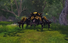 画像ギャラリー No.022のサムネイル画像 / 「RaiderZ」，クローズドβテストで遊べる内容が公開。CBT直前ニコニコ生放送も