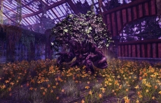 画像ギャラリー No.025のサムネイル画像 / 「RaiderZ」，クローズドβテストで遊べる内容が公開。CBT直前ニコニコ生放送も