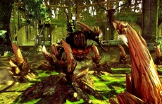 画像ギャラリー No.026のサムネイル画像 / 「RaiderZ」，クローズドβテストで遊べる内容が公開。CBT直前ニコニコ生放送も