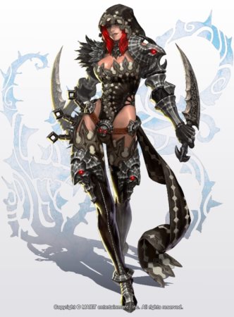 画像ギャラリー No.002のサムネイル画像 / 「RaiderZ」のオープンβテストは4月25日17：00にスタート。OBTで実装される新クラス「アサシン」を紹介するPVも公開中