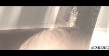 画像ギャラリー No.052のサムネイル画像 / デッサン画のような独特のグラフィックスが特徴的な3Dアクション「El Shaddai ASCENSION OF THE METATRON」は2010年発売