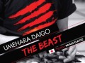 「Team Mad Catz」のウメ/マゴ/ときどが，9月23日の「NSB30 SSF4AE」に参戦。「Ver.2012」のロケテストも同時開催