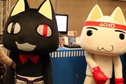 画像ギャラリー No.010のサムネイル画像 / 全国から集った猛者達が熱戦を繰り広げたスパIV公式全国大会「春獄節! 〜格闘ひな祭り〜」。あの興奮を振り返る大会フォトレポートを掲載