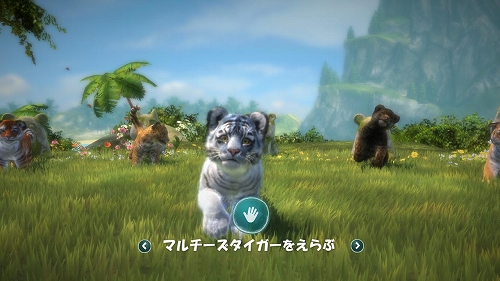 画像ギャラリー No.002のサムネイル画像 / 「Kinect アニマルズ」,初回限定版には愛くるしい“マルチーズ タイガー”のぬいぐるみが同梱。コードを読み取ってゲームにも登場させよう