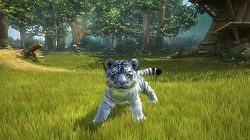 画像ギャラリー No.005のサムネイル画像 / 「Kinect アニマルズ」,初回限定版には愛くるしい“マルチーズ タイガー”のぬいぐるみが同梱。コードを読み取ってゲームにも登場させよう