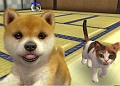 岩田社長が助っ人参戦し，3DS本体機能の詳細も聞けた！　「nintendogs＋cats」プロデューサー・紺野秀樹氏プレゼンテーションをレポート
