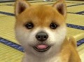 任天堂製ゲームソフトの最新発売スケジュール公開。「nintendogs + cats」3タイトルが2月26日に同時発売＆「スティールダイバー」は3月17日にリリース