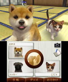 画像ギャラリー No.001のサムネイル画像 / トイ・プードルか柴犬か。最初に飼う子犬はどれにする？　「nintendogs ＋ cats」の公式サイトで3種類のパッケージ詳細が明らかに