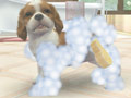 トイ・プードルか柴犬か。最初に飼う子犬はどれにする？　「nintendogs ＋ cats」の公式サイトで3種類のパッケージ詳細が明らかに