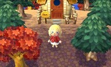 とびだせ どうぶつの森