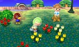 とびだせ どうぶつの森