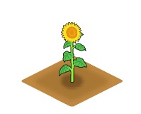 画像ギャラリー No.001のサムネイル画像 / 牧場を夏らしい雰囲気に。「みんなで牧場物語」，ヒマワリが期間限定で登場