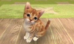 画像ギャラリー No.007のサムネイル画像 / 3DSの立体表示で,あの名作はどう生まれ変わるのか。「ゼルダの伝説 時のオカリナ 3D(仮称)」「nintendogs + cats」「どうぶつの森(仮称)」レポート