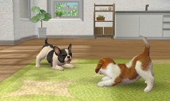 画像ギャラリー No.009のサムネイル画像 / 3DSの立体表示で,あの名作はどう生まれ変わるのか。「ゼルダの伝説 時のオカリナ 3D(仮称)」「nintendogs + cats」「どうぶつの森(仮称)」レポート
